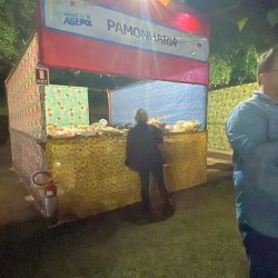 foto 21